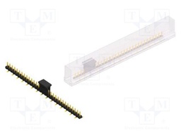Connector: pin strips; pin header; male; PIN: 31; 2.54mm; SMT; 1x31