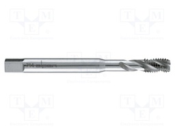 Tap; high speed steel cobalt HSS-Co; M12; 1.75; for blind holes