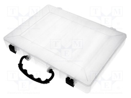 Container: compartment box; transparent; polypropylene
