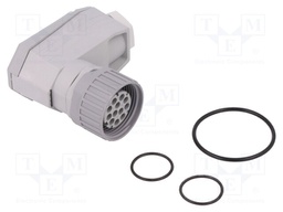Plug; Connector: DIN 43651; NR; female; PIN: 12; w/o contacts; 5A