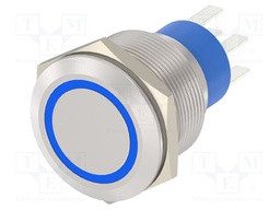 Switch: vandal resistant; Pos: 2; DPST; 3A/250VAC; OFF-ON; blue