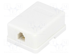 Socket; RJ11; Layout: 6p4c; surface-mounted,screw,self-adhesive