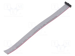 Ribbon cable with IDC connectors; Tape ph: 0.64mm; 177.8mm