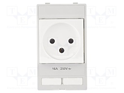Plug socket module Israel