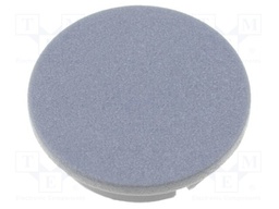 Cap; plastic; grey; push-in; Application: G4311.6131