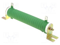 Resistor: wire-wound; 100Ω; 100W; ±5%; Ø28x151mm; 200ppm/°C