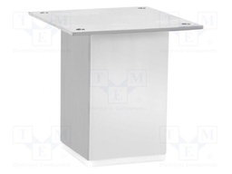 Foot