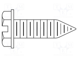 Screw; Head: cheese head; slotted; steel; zinc