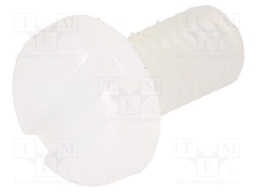 Screw; M3x6; 0.5; Head: cheese head; slotted; 0,9mm; polyamide