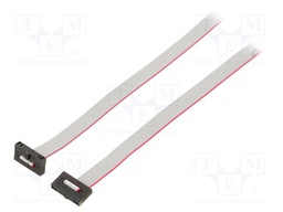 Ribbon cable with IDC connectors; Tape ph: 0.64mm; 1168.4mm