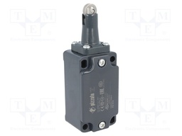 Limit switch; steel roller Ø13mm; NO + NC; 10A; max.500VAC; IP67
