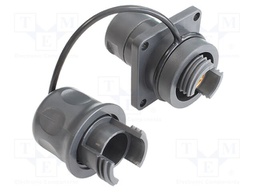 Connector: fiber optic