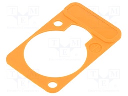 LETTERING PLATE ORANGE