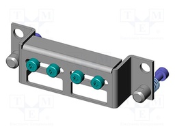 Rack mount; 33mm; test plug