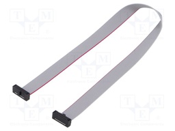 Ribbon cable with IDC connectors; Tape ph: 0.64mm; 254mm