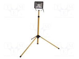 Lamp: LED flood light; 6500(typ)K; IP65; Body: black; 30W; 230VAC