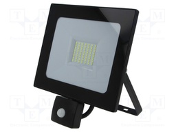 Lamp: LED flood light; 6500(typ)K; IP44; Body: black; 30W; 230VAC