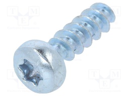 Screw; 3x10; Head: cheese head; Torx®; hardened steel; Size: TX10