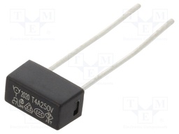 Fuse: fuse; time-lag; 4A; 250VAC; TE5; 883.200G