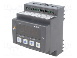 Module: regulator; temperature; SPDT; OUT 2: SPDT; DIN; 250VAC/8A