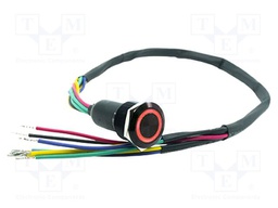 Switch: vandal resistant; DPDT; 3A/250VAC; IP67; ON-ON; red; 3V