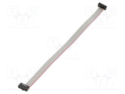 Ribbon cable with IDC connectors; Tape ph: 0.64mm; 165mm