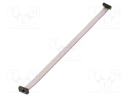 Ribbon cable with IDC connectors; Tape ph: 0.64mm; 165mm