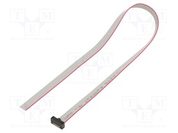 Ribbon cable with IDC connectors; Tape ph: 0.64mm; 304.8mm
