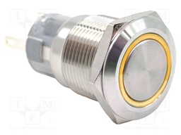 Switch: vandal resistant; SPDT; 2A/24VDC; IP67; ON-(ON); Ø19mm