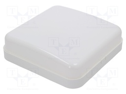 Lamp: lighting fixture; HERA; polycarbonate; E27; IP44; Body: white