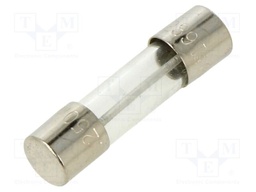 Fuse: fuse; 250mA; 250VAC; time-lag; glass; 5.2x20mm; holders; 239