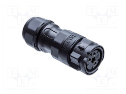DD-18BMMA-QL8SP0