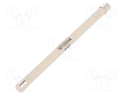 Fuse: fuse; quick blow; 100mA; ceramic