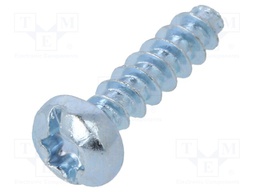 Screw; for plastic; 3x12; Head: cheese head; Torx®,slotted; steel