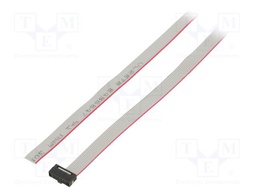 Ribbon cable with IDC connectors; Tape ph: 0.64mm; 999.99mm