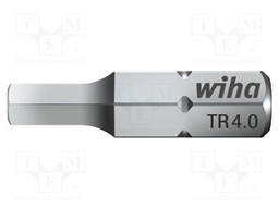 Screwdriver bit; Allen hex key with protection; TR 3/16"