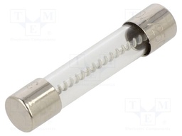 Fuse: fuse; 10A; 250VAC; time-lag; glass; 31.8x6.35mm; holders; 313