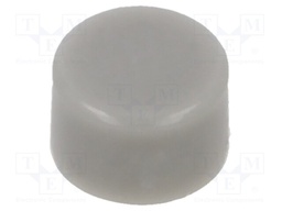 Cap; none; Man.series: APE; Body: grey