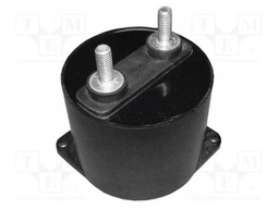 Capacitor: polypropylene