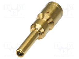 Contact; male; CuZn; gold-plated; crimped