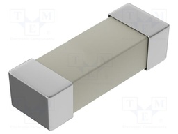 Fuse: fuse; time-lag; 1A; 250VAC; 125VDC; SMD; ceramic; 10,1x3x3mm