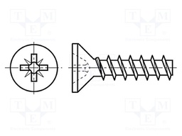 Screw; for plastic; 3x10; Head: countersunk; Pozidriv; steel; zinc