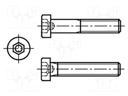 Screw; M6x20; DIN: 6912; Head: cheese head; imbus; steel; HEX 5mm