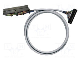 Cable: patch cord