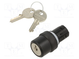 Switch: rotary with key
