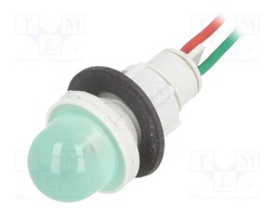 Indicator: LED; prominent; 24VDC; 24VAC; Cutout: Ø13mm; 300mm leads