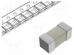 Fuse: fuse; 5A; 250VAC; quick blow; 10.3x3.2x3.2mm; SMD