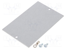 Mounting plate; steel; for enclosures