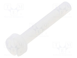 Screw; M3x20; 0.5; Head: cheese head; slotted; 0,9mm; polyamide