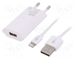 Power supply: switched-mode; voltage source; 5VDC; 1A; 5W; plug